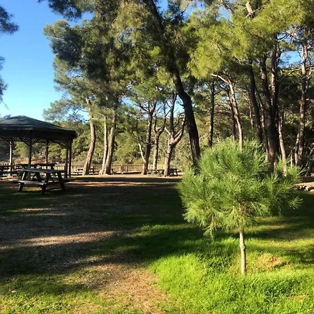 Forest Park Apartament Alanya