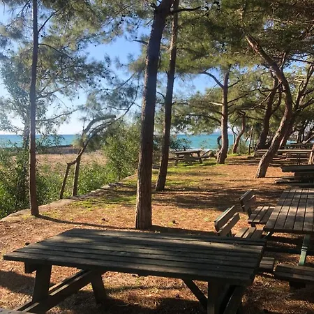 Forest Park Alanya