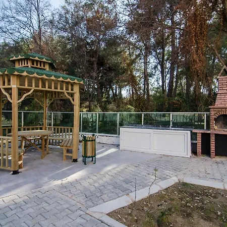 Forest Park Apartment