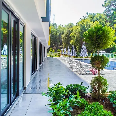 Forest Park Apartment *