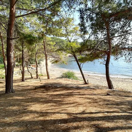 Apartament Forest Park Alanya